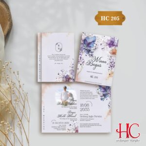 HC 205